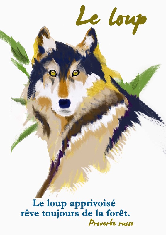 loup 2